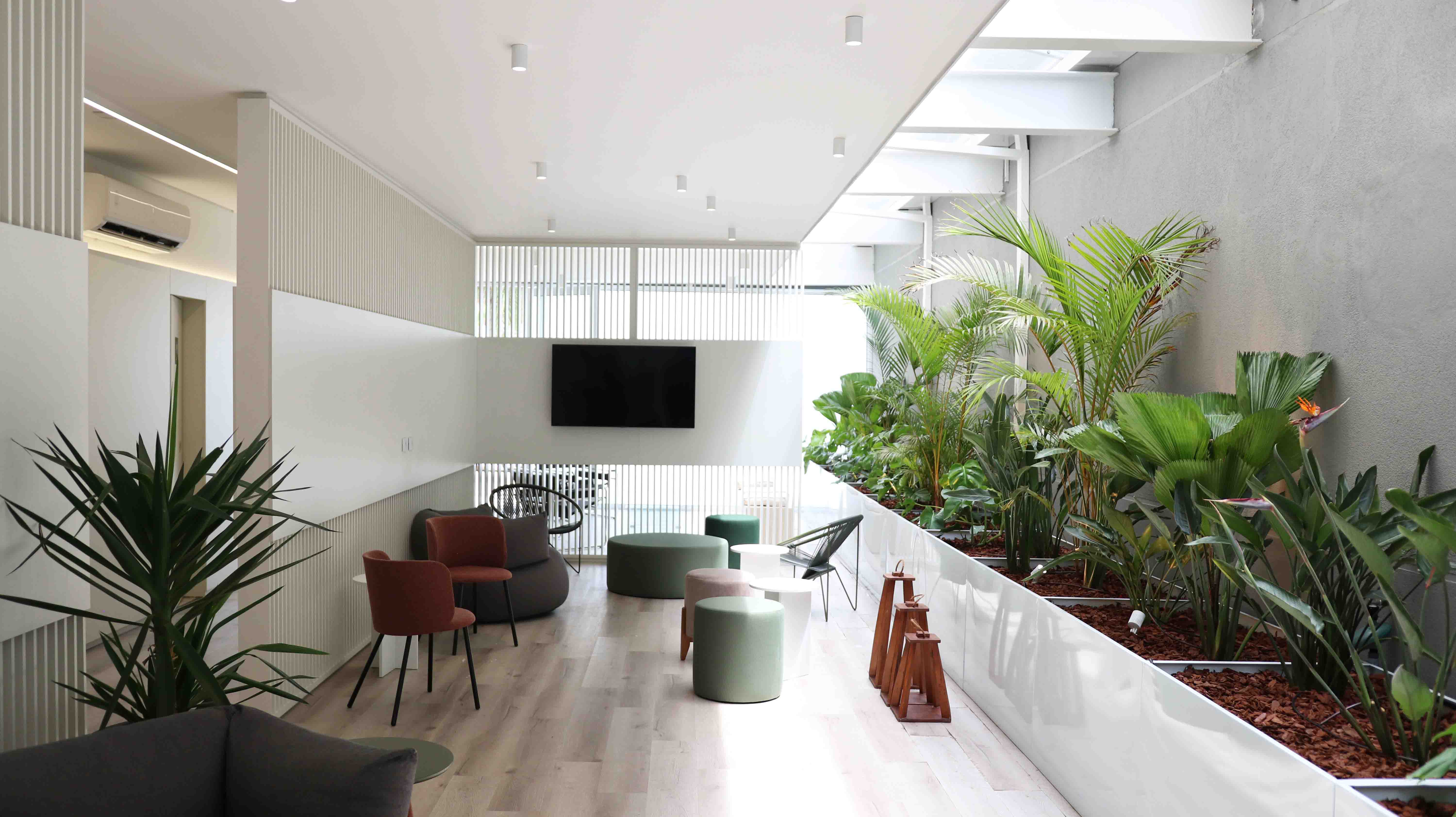 Área de lazer com televisão e canteiro com plantas