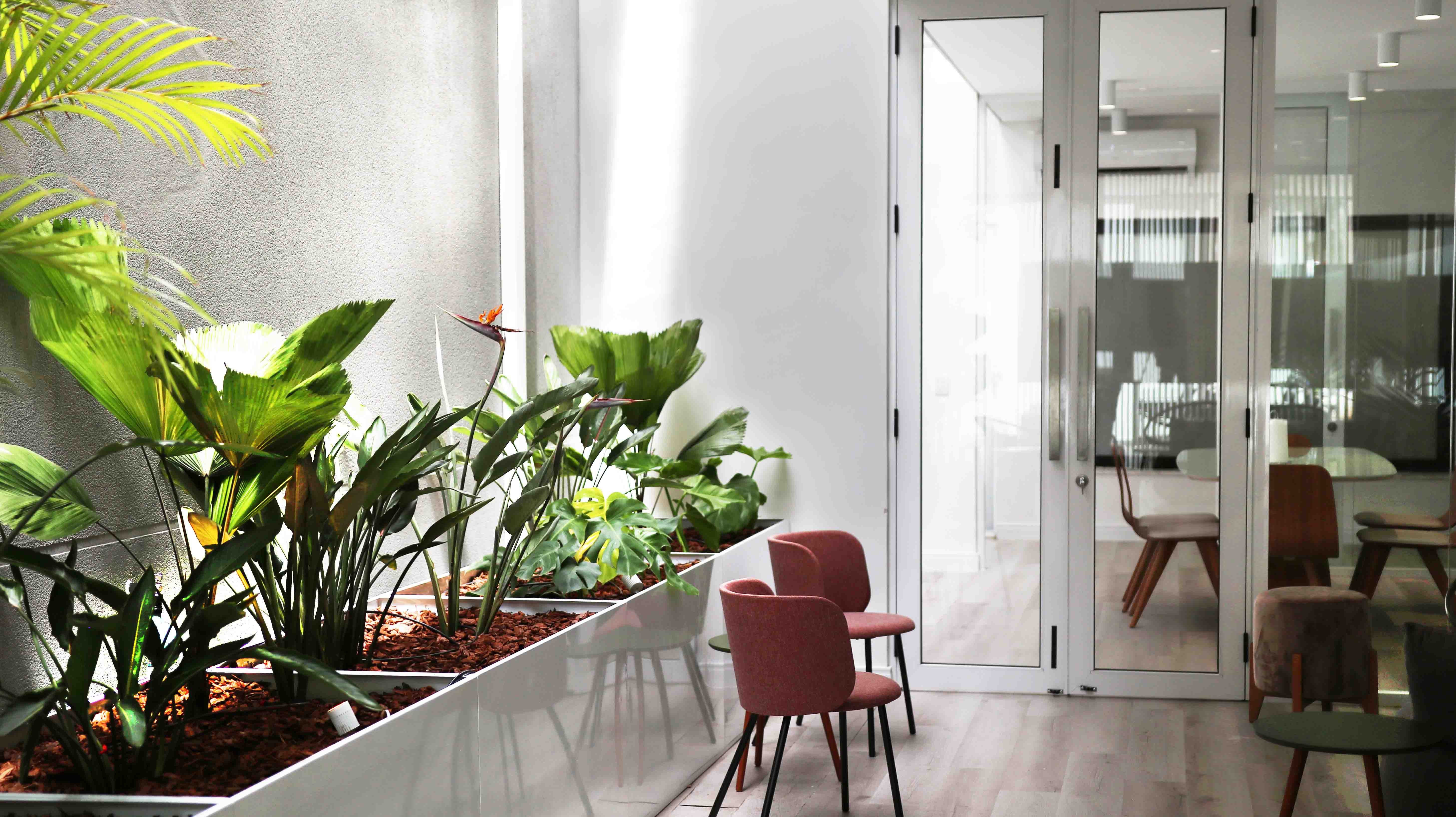 Área de lazer com plantas