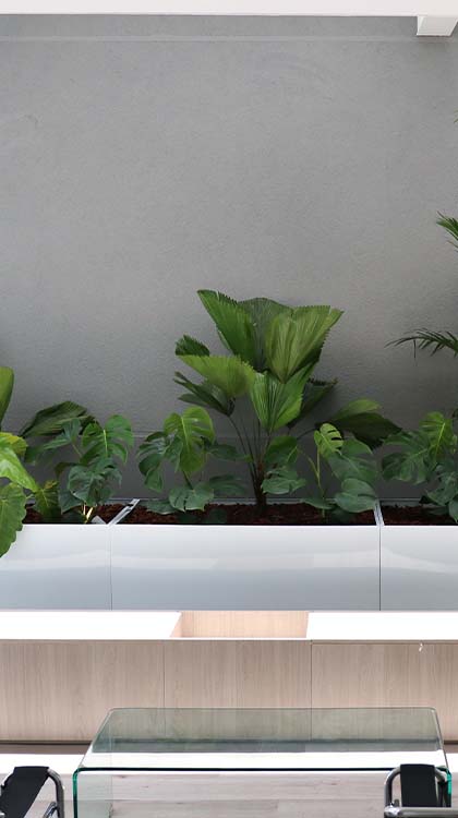 Área de lazer com plantas