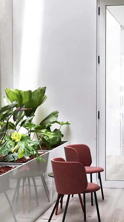 Área de lazer com plantas